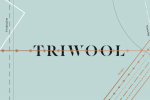 Triwool Knitted creativity