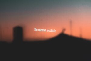Maximizing Your WordPress Site
